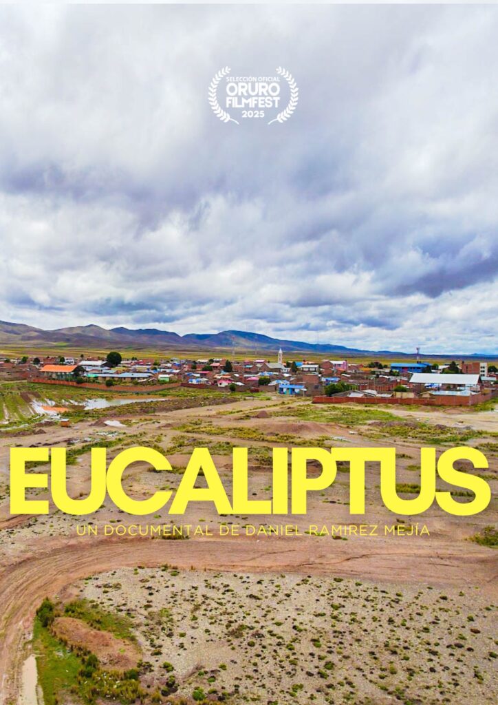 eucaliptus